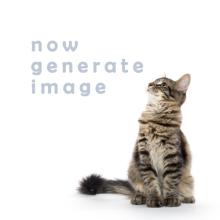 精神科・心療内科の診療費は？治療にかかるお金を徹底解説 